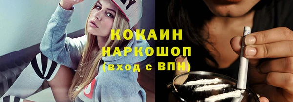 стаф Алзамай