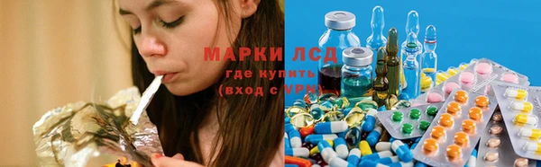 стаф Алзамай