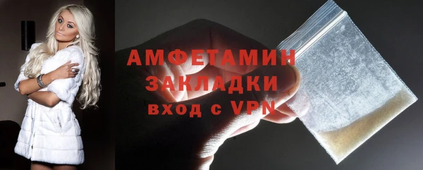 стаф Алзамай