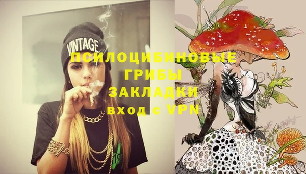 молекула духа Алексин
