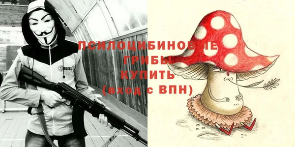 стаф Алзамай