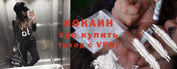 стаф Алзамай