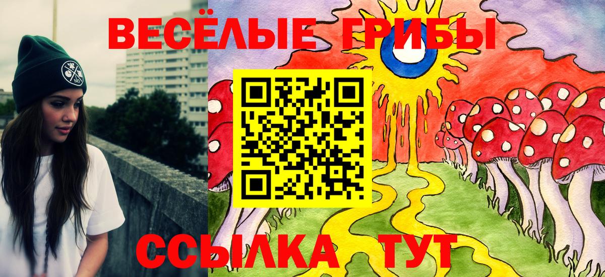 Галлюциногенные грибы MAGIC MUSHROOMS  Вход с VPN  Осинники 