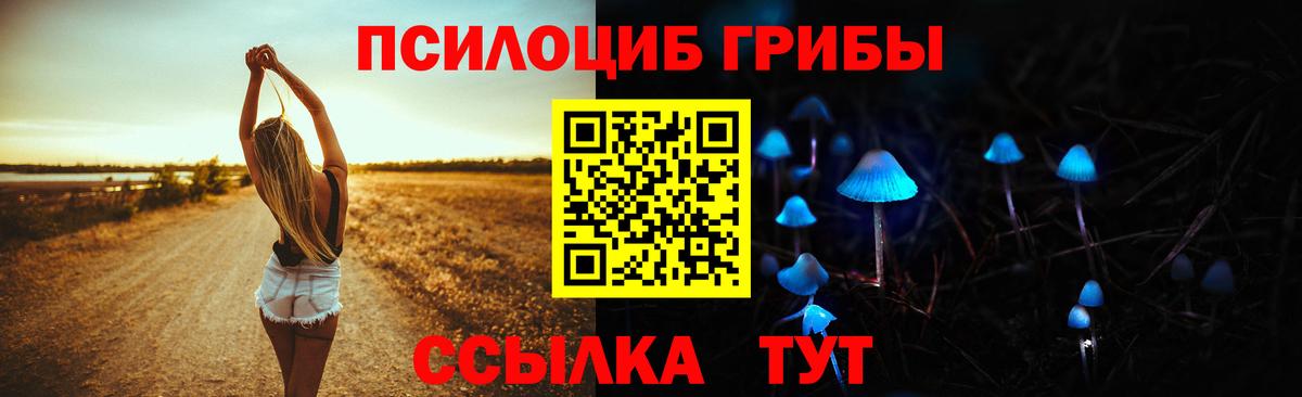 Галлюциногенные грибы Psilocybe Осинники